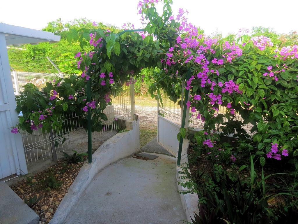 Bungalow Soleil Sainte-Anne  Εξωτερικό φωτογραφία
