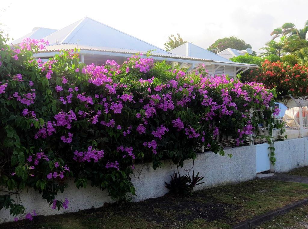 Bungalow Soleil Βίλα Sainte-Anne  Εξωτερικό φωτογραφία